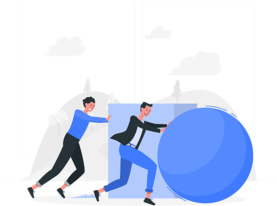 Market Research and Analysis